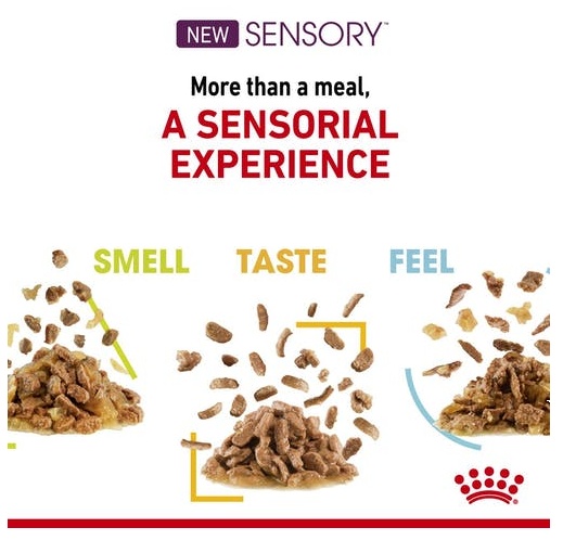 Royal Canin Sensory Taste w sosie karma mokra dla kotów dorosłych saszetka 85g karma dla kota - obrazek 4