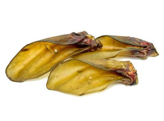 Balto Ucho wołowe 1szt. karma dla psa - obrazek 2