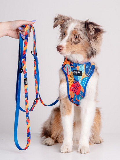 CHABA Smycz regulowana Story III M 20mm/260cm Aussie - obrazek 5