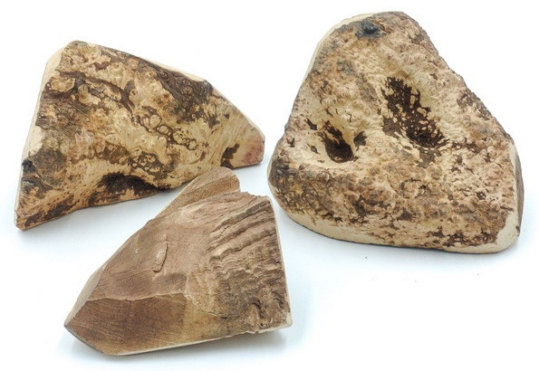 4DOGS Gryzak z korzenia drzewa wrzosowego XL karma dla psa - obrazek 2