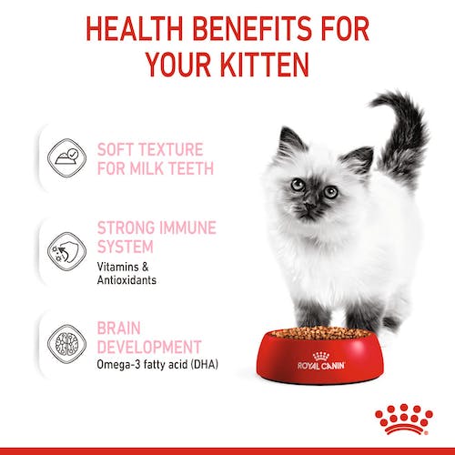 Royal Canin Kitten w galaretce karma mokra dla kociąt do 12 miesiąca życia saszetka 85g karma dla kota - obrazek 2
