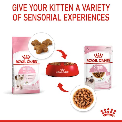 Royal Canin Kitten w galaretce karma mokra dla kociąt do 12 miesiąca życia saszetka 85g karma dla kota - obrazek 4