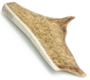 4DOGS Gryzak z poroża daniela M karma dla psa