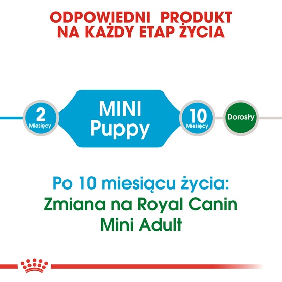 Royal Canin Mini Puppy karma sucha dla szczeniąt, od 2 do 10 miesiąca życia, ras małych 800g karma dla psa - obrazek 4