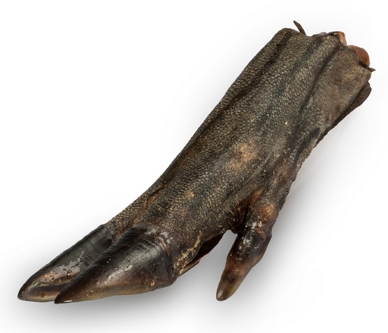 Balto Racica dzika 1szt karma dla psa