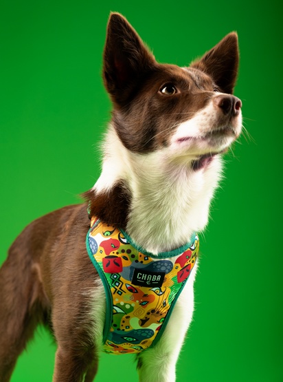 CHABA Szelki Guard Comfort Story III bezuciskowe S 1,6cm Jumbo - obrazek 6