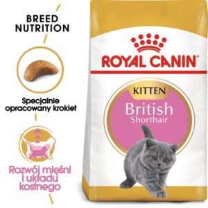 Royal Canin British Shorthair Kitten karma sucha dla kociąt, do 12 miesiąca, rasy brytyjski krótkowłosy 400g karma dla kota
