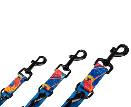 CHABA Smycz regulowana Story III M 20mm/260cm Aussie - obrazek 3