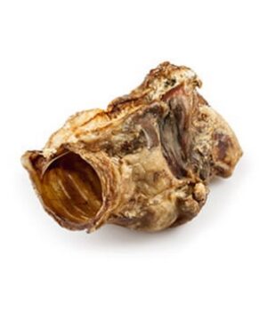 Balto Krtań wołowa 1szt karma dla psa