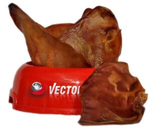 Vector-Food Ucho wieprzowe duże 10szt karma dla psa