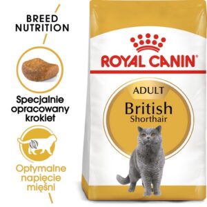 Royal Canin British Shorthair Adult karma sucha dla kotów dorosłych rasy brytyjski krótkowłosy 2kg karma dla kota