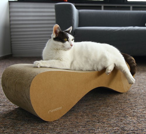 MyKotty Drapak Vigo brązowy - obrazek 4