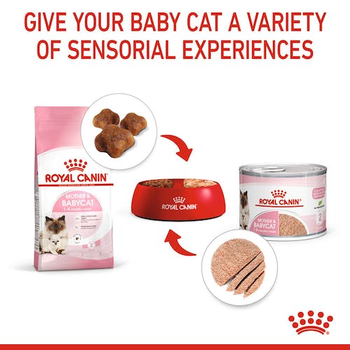 Royal Canin Mother & Babycat Mousse karma mokra - mus dla kociąt i kotek karmiących puszka 195g karma dla kota - obrazek 4