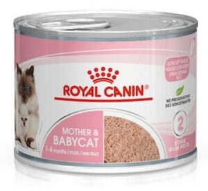 Royal Canin Mother & Babycat Mousse karma mokra - mus dla kociąt i kotek karmiących puszka 195g karma dla kota
