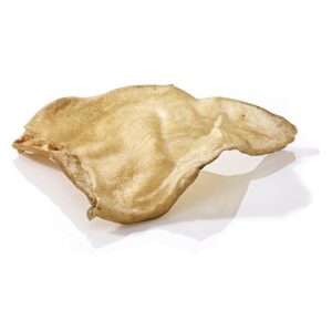 Maced Ucho wołowe 1szt folia karma dla psa