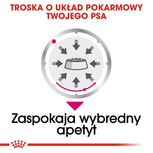 Royal Canin Exigent karma mokra dla wybrednych psów dorosłych, wszystkich ras, pasztet saszetka 85g karma dla psa - obrazek 3
