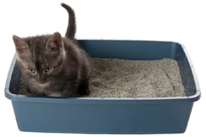 Super Benek Compact Zapachowy (granatowy) 5L - obrazek 3