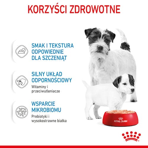 Royal Canin Starter Mother&Babydog karma mokra - mus, dla suk w czasie ciąży, laktacji oraz szczeniąt puszka 195g karma dla psa - obrazek 2