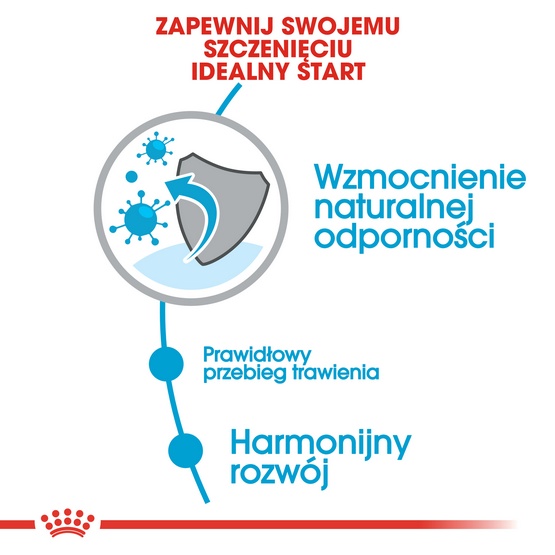 Royal Canin Mini Puppy karma sucha dla szczeniąt, od 2 do 10 miesiąca życia, ras małych 800g karma dla psa - obrazek 5