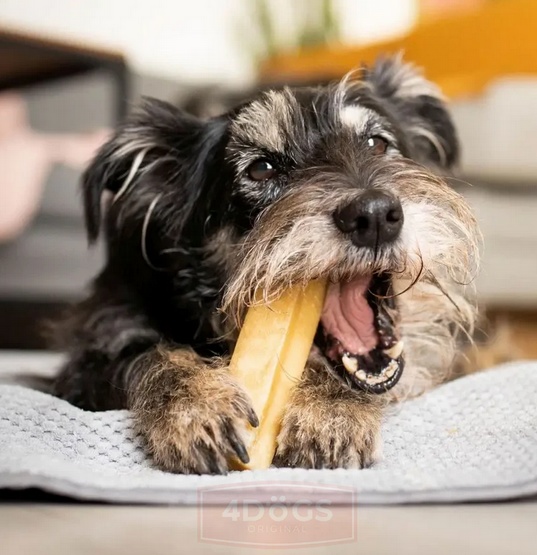 4DOGS Gryzak z sera himalajskiego Churpi Original L karma dla psa - obrazek 10