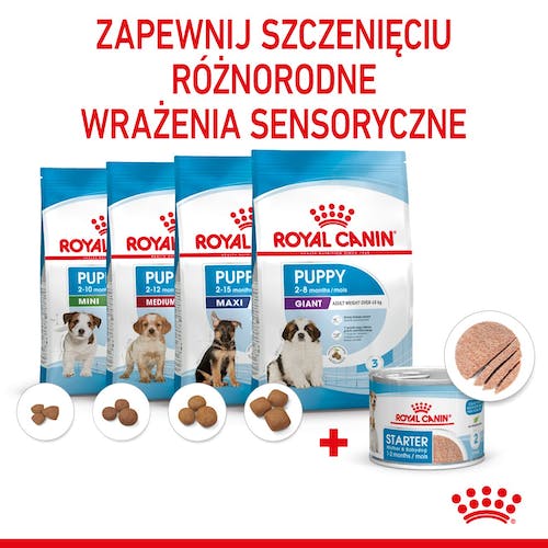 Royal Canin Starter Mother&Babydog karma mokra - mus, dla suk w czasie ciąży, laktacji oraz szczeniąt puszka 195g karma dla psa - obrazek 4