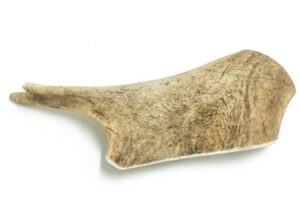 4DOGS Gryzak z poroża daniela L karma dla psa