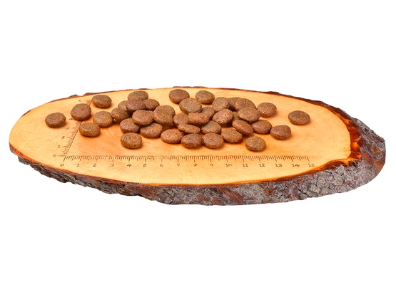 Carnilove Dog Fresh Carp & Trout Adult - karp i pstrąg 1,5kg karma dla psa - obrazek 2