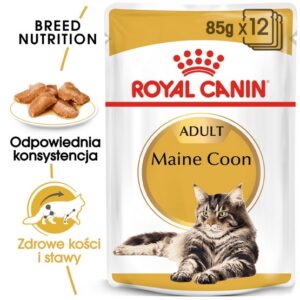 Royal Canin Maine Coon karma mokra w sosie dla kotów dorosłych rasy maine coon saszetka 85g karma dla kota
