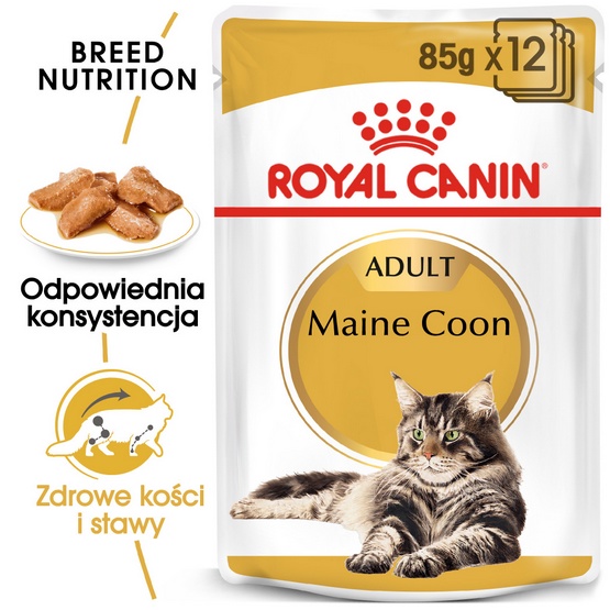 Royal Canin Maine Coon karma mokra w sosie dla kotów dorosłych rasy maine coon saszetka 85g karma dla kota