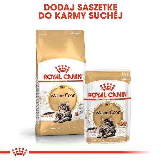 Royal Canin Maine Coon karma mokra w sosie dla kotów dorosłych rasy maine coon saszetka 85g karma dla kota - obrazek 5