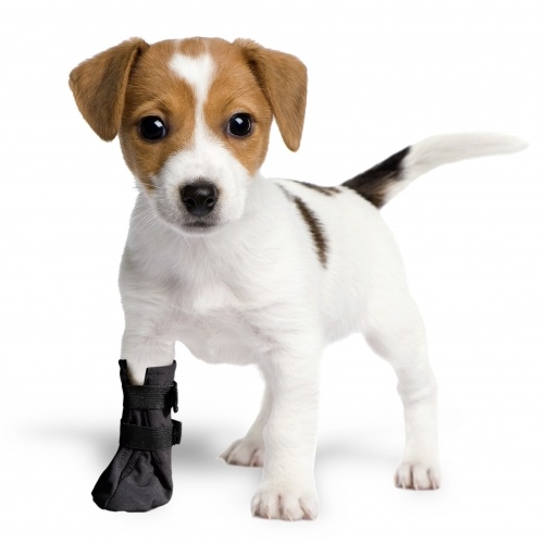 Grande Finale But Softshell na chorą łapę r.5 - 10cm czarny - obrazek 2