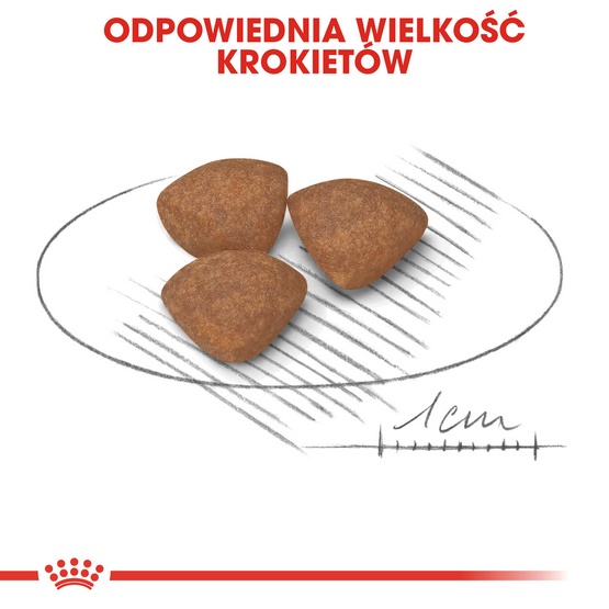 Royal Canin Mini Puppy karma sucha dla szczeniąt, od 2 do 10 miesiąca życia, ras małych 800g karma dla psa - obrazek 6