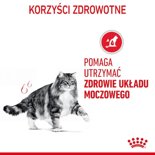 Royal Canin Urinary Care karma sucha dla kotów dorosłych, ochrona dolnych dróg moczowych 2kg karma dla kota - obrazek 3