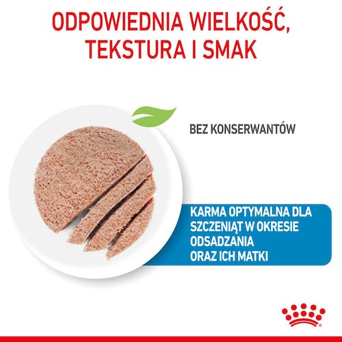 Royal Canin Starter Mother&Babydog karma mokra - mus, dla suk w czasie ciąży, laktacji oraz szczeniąt puszka 195g karma dla psa - obrazek 3