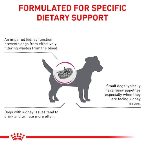 Royal Canin Veterinary Diet Canine Renal Small Dog 500g karma dla psa - obrazek 2