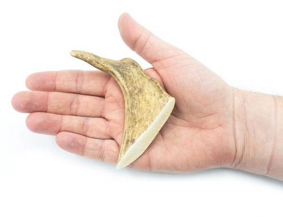 4DOGS Gryzak z poroża daniela S karma dla psa - obrazek 3