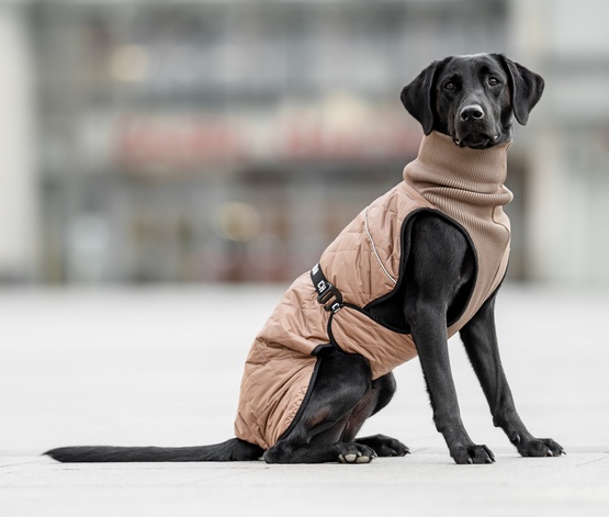 Chaba Kubrak Regulowany Chic S beige - obrazek 8