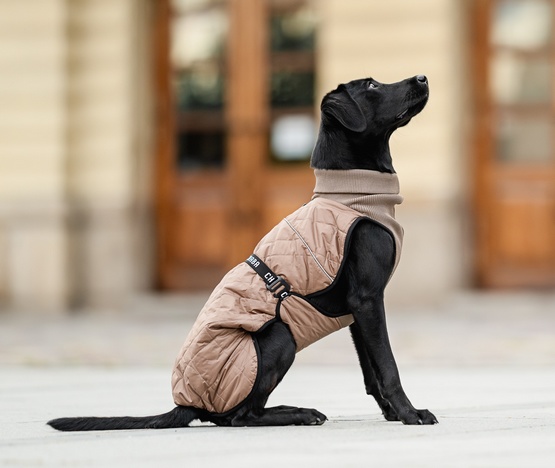 Chaba Kubrak Regulowany Chic S beige - obrazek 7