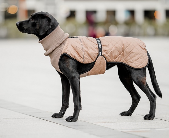 Chaba Kubrak Regulowany Chic L beige - obrazek 9