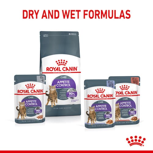 Royal Canin Appetite Control Care karma mokra w galaretce dla kotów dorosłych, domagających się jedzenia saszetka 85g karma dla kota - obrazek 5