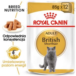 Royal Canin British Shorthair karma mokra w sosie dla kotów dorosłych rasy brytyjski krótkowłosy saszetka 85g karma dla kota