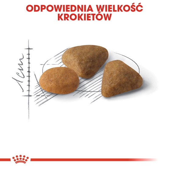 Royal Canin Savour Exigent karma sucha dla kotów dorosłych, wybrednych, kierujących się teksturą krokieta 400g karma dla kota - obrazek 4