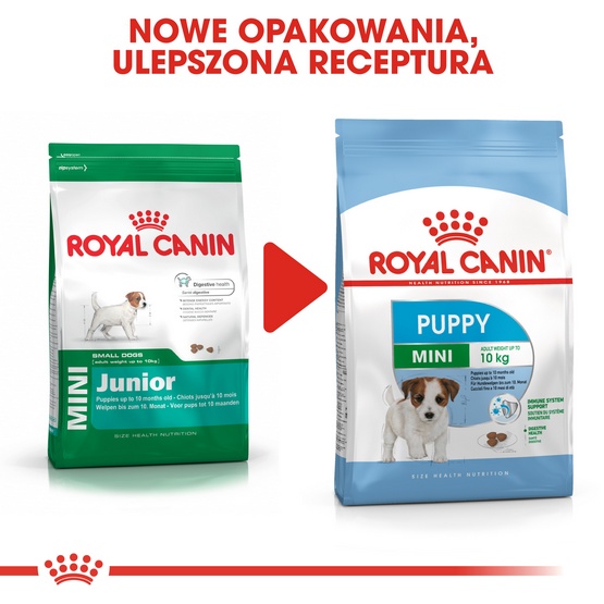 Royal Canin Mini Puppy karma sucha dla szczeniąt, od 2 do 10 miesiąca życia, ras małych 800g karma dla psa - obrazek 3