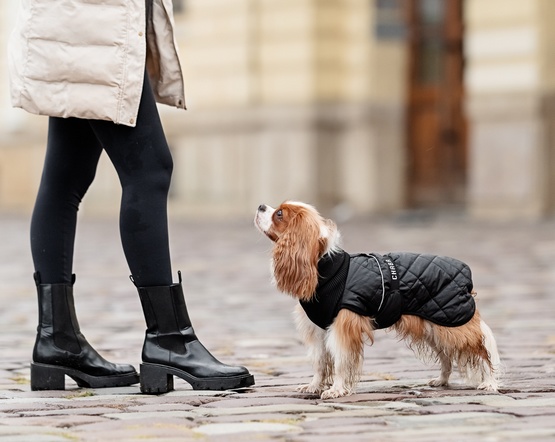 Chaba Kubrak Regulowany Chic XL black - obrazek 7