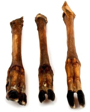 Balto Racica jelenia 2szt karma dla psa