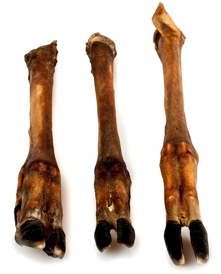 Balto Racica jelenia 2szt karma dla psa