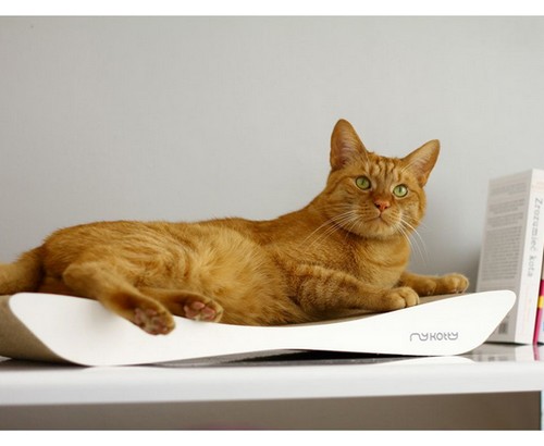 MyKotty Drapak Tobi biały - obrazek 3