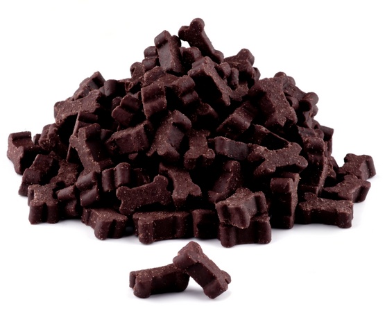 Maced Sport Up! Trenerki z jagnięciną słoik 300g karma dla psa